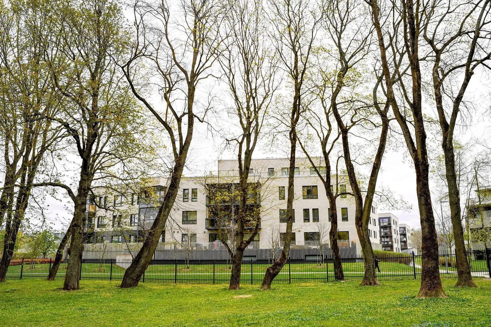 Résidence contemporaine entourée d’arbres